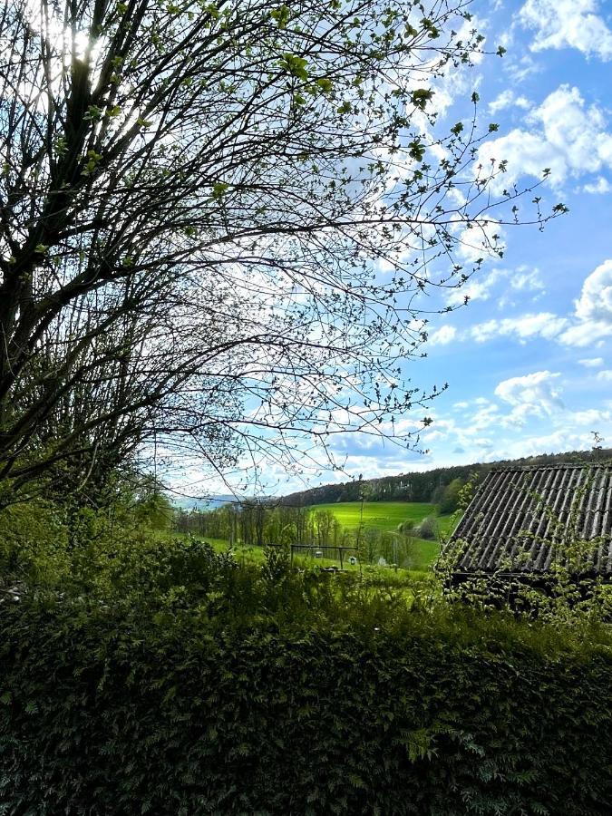 Ferienhaus Kleine Auszeit In Der Natur Mit Kamin, Yogamatten, Schoene Kueche Extertal Ngoại thất bức ảnh